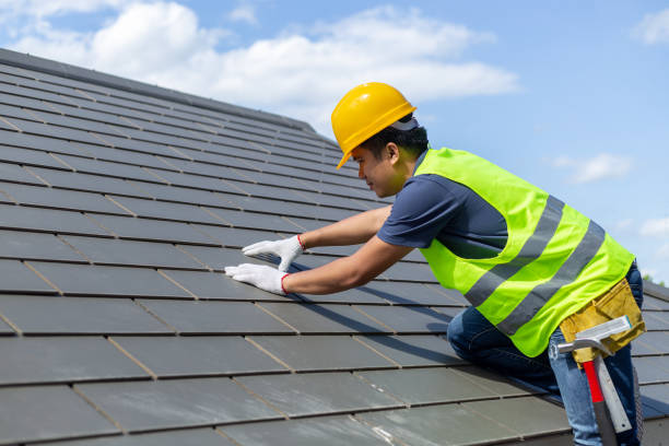 Sheet Metal Roofing in Holbrook, AZ