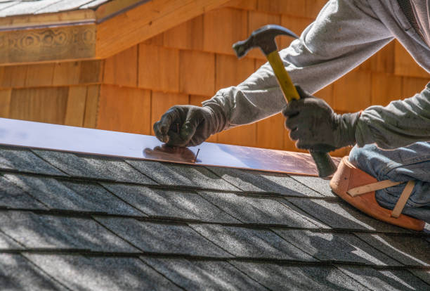 Best Roof Repair  in Holbrook, AZ
