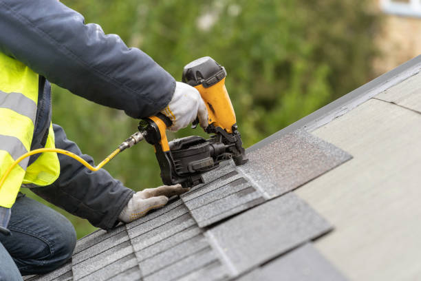 Best Roof Ventilation Installation  in Holbrook, AZ