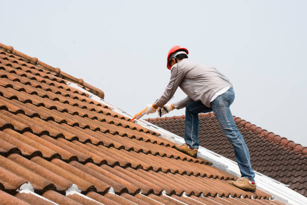 Best Roofing for New Construction  in Holbrook, AZ