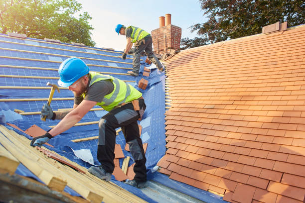 Best Storm Damage Roof Repair  in Holbrook, AZ